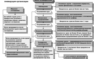 Стадии банкротства юридического лица: схема — советы юриста