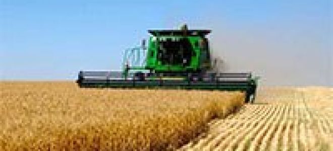 ИП КФХ — советы юриста