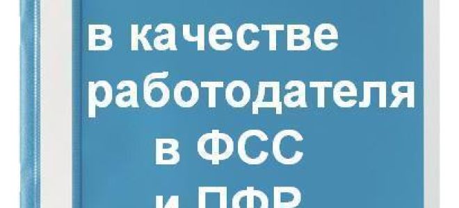 Как ИП встать на учет в налоговую и ФСС — советы юриста