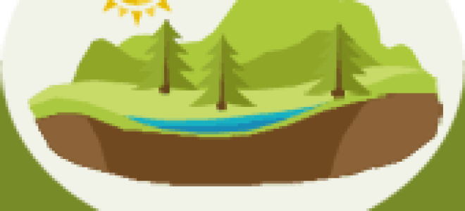 Статья 56. Ответственность юридических лиц и граждан за ущерб, нанесенный объектам животного мира и среде их обитания