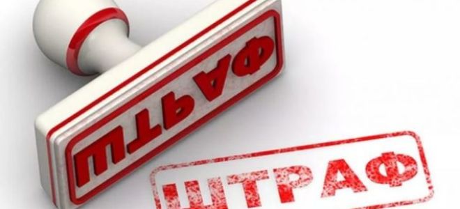 Статья 19. Ответственность за нарушение законодательства Российской Федерации в области гражданской обороны