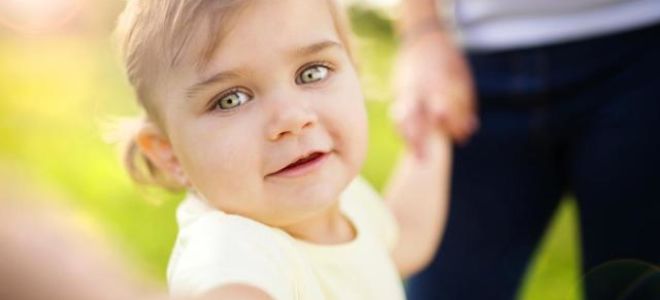 Статья 33. право на пенсию усыновителей и усыновленных