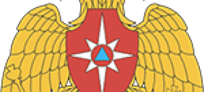 Статья 17. Другие войска, воинские формирования и органы