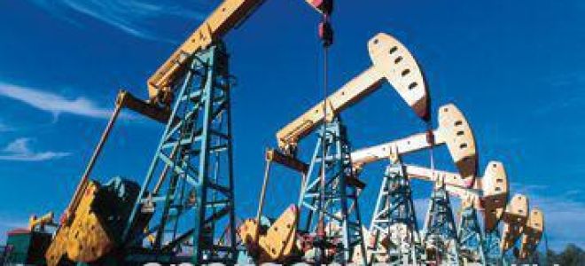 Статья 15. Государственные гарантии прав субъектов инвестиционной деятельности