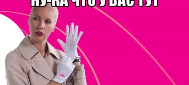 Статья 32. ревизионная комиссия