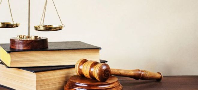 Статья 58 АПК РФ. Помощник судьи. Секретарь судебного заседания (действующая редакция)