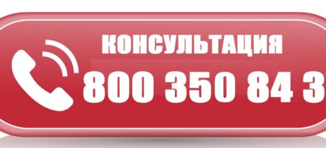 Статья 15. Государственные квоты
