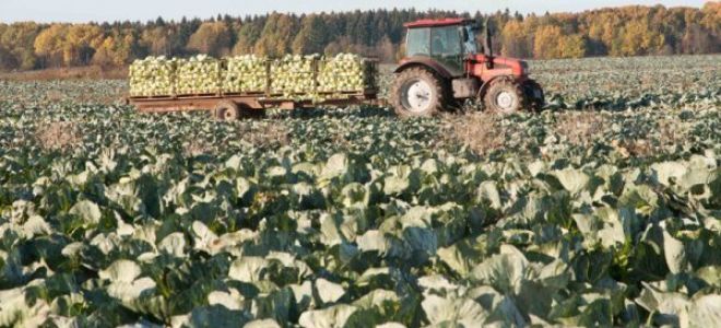 Статья 18. отсрочка от призыва на военную службу по мобилизации