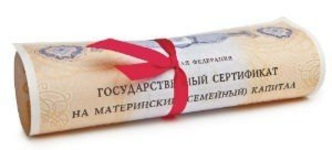 Статья 40. выделение доли пенсии