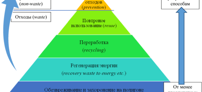 Статья 14.1. федеральный оператор по обращению с отходами i и ii классов опасности