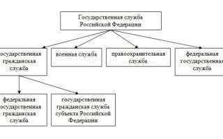 Статья 3. государственная гражданская служба российской федерации
