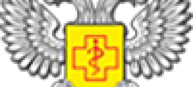 Статья 28. социально-бытовое обслуживание инвалидов