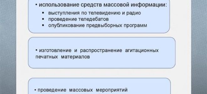 Статья 49. Предвыборная агитация