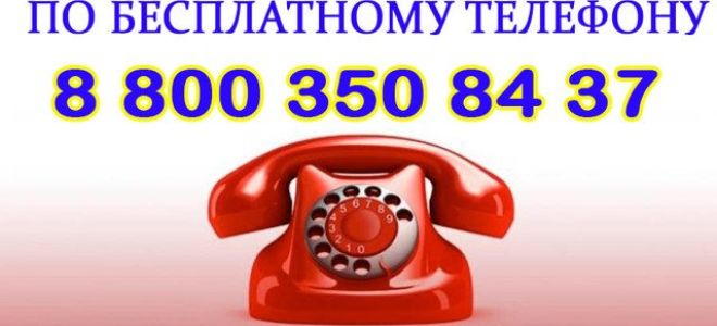 Статья 15. отставка судьи