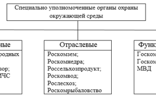 Статья 18. Полномочия Правительства Российской Федерации в сфере природопользования и охраны окружающей среды