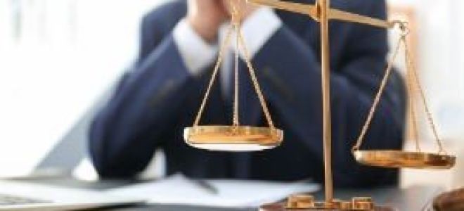 Глава 28 АПК РФ. Рассмотрение дел о несостоятельности (банкротстве) (действующая редакция)