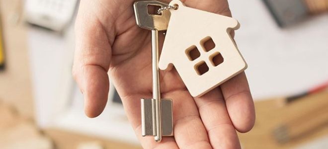 Законодательство о банкротстве — советы юриста