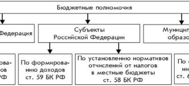 Статья 7 БК РФ. Бюджетные полномочия Российской Федерации (действующая редакция)