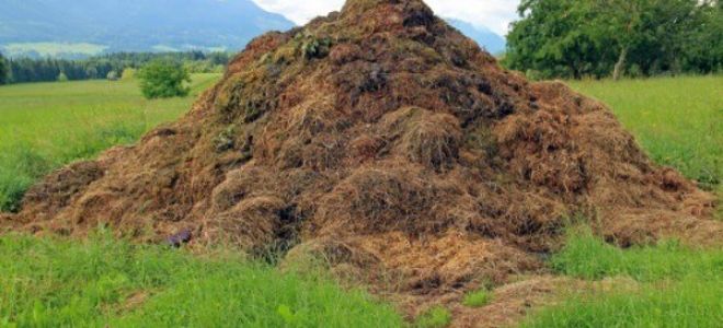 Статья 5.1. передача осуществления полномочий по лицензированию деятельности по сбору, транспортированию, обработке, утилизации, обезвреживанию, размещению отходов i — iv классов опасности