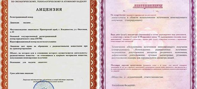 Статья 24. Предоставление доступа на территорию организации, осуществляющей деятельность с использованием источников ионизирующего излучения