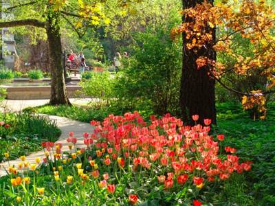 Раздел VII. Дендрологические парки и ботанические сады