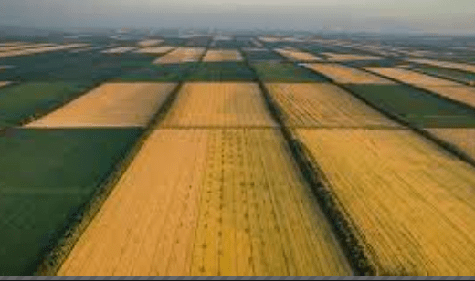 Статья 8. Купля-продажа земельного участка из земель сельскохозяйственного назначения