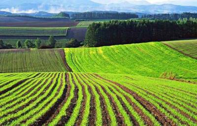 Статья 4. Предельные размеры и требования к местоположению земельных участков из земель сельскохозяйственного назначения